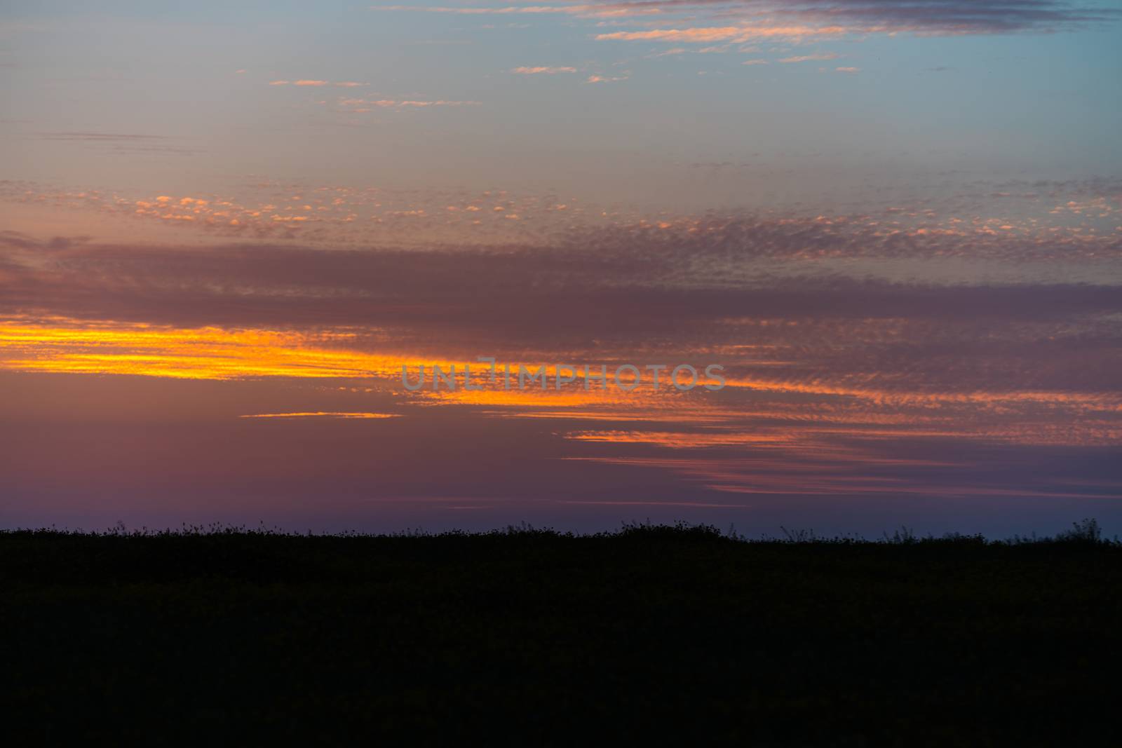 countryside, color sky at sunset in the desert