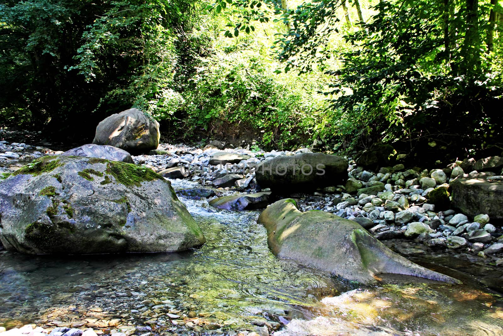 Big stones are covered by the moss in mountain river.