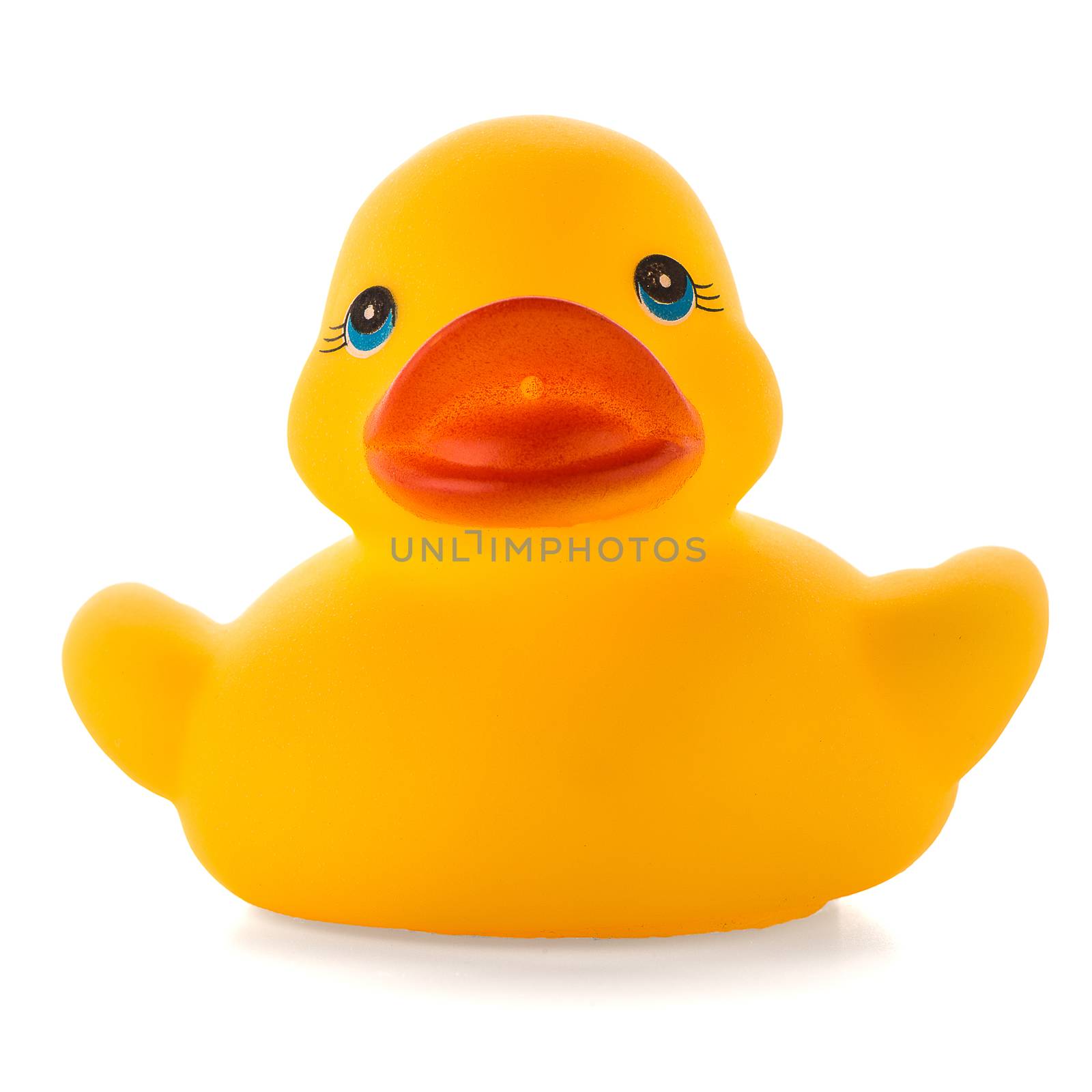 Yellow rubber duck isolated on white background.