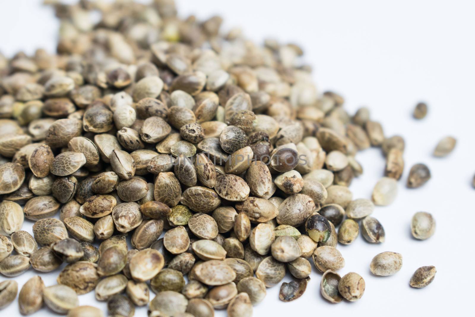 A group of raw cannabis seed disposed on a white background