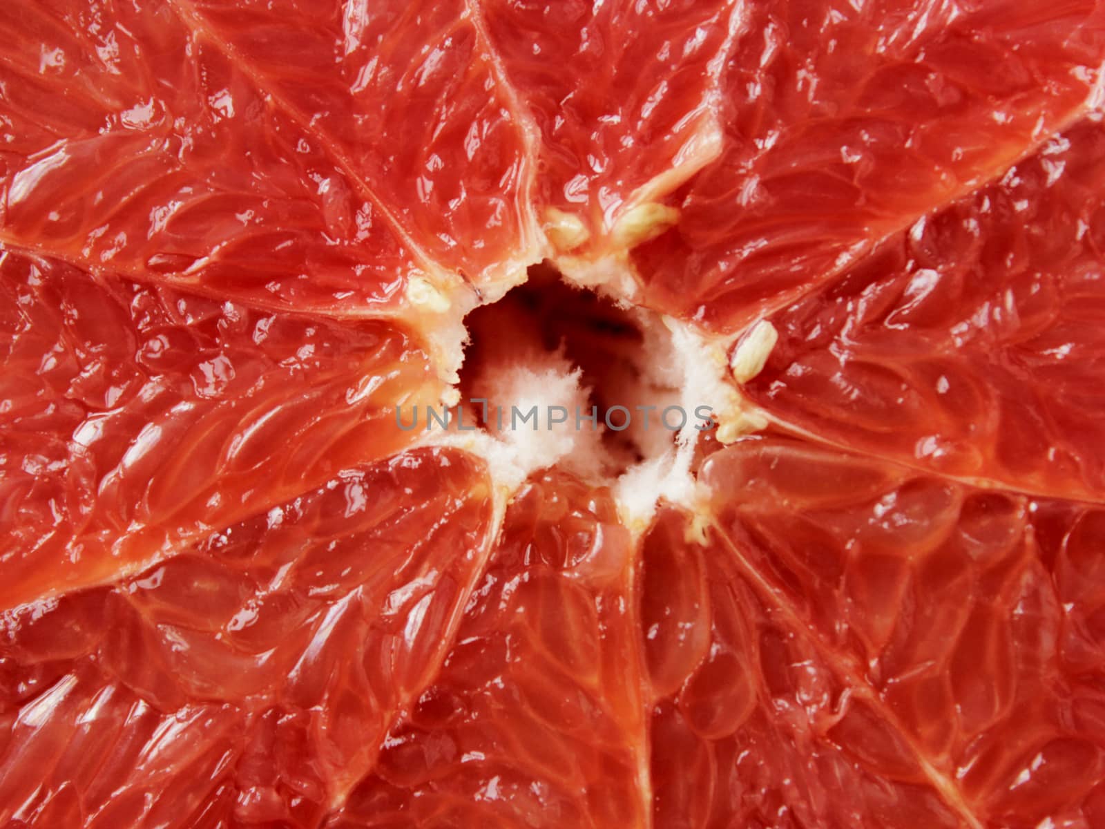 cut fruit of red useful grapefruit close-up