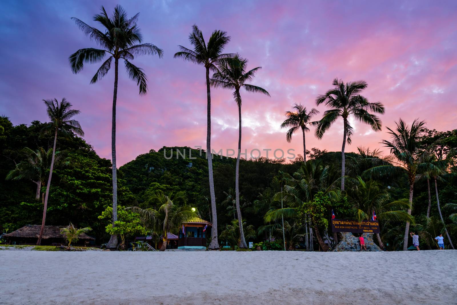 Beautiful natural landscape of coconut trees on the beach in front of Ko Wua Ta Lap island, under the colorful sky at sunset, Mu Ko Ang Thong National Marine Park in Gulf of Thailand, Surat Thani province