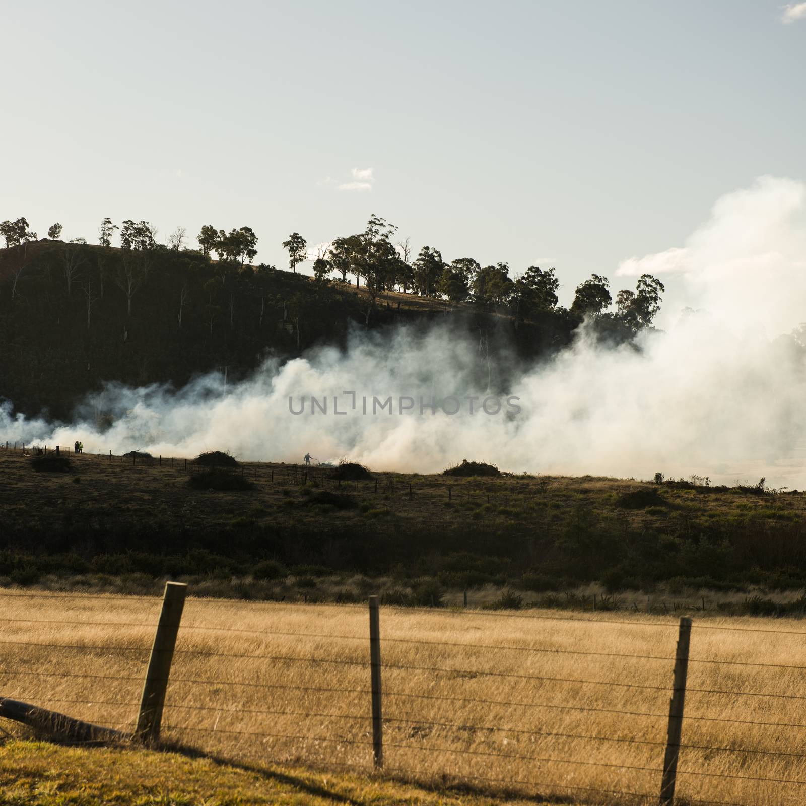 Bush fire in a country town in Hobart, Tasmania.