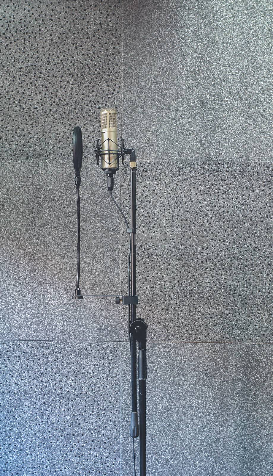 Speech pad Sound recording room and Mic condenser