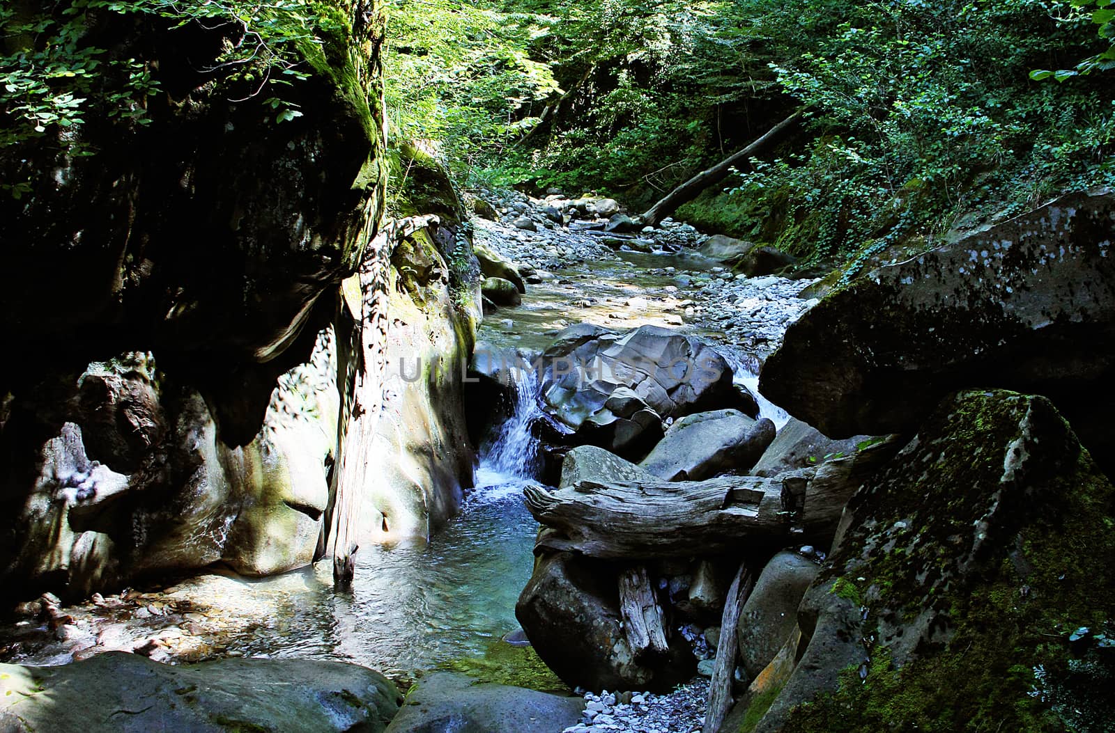 The head of small mountain river. by andsst