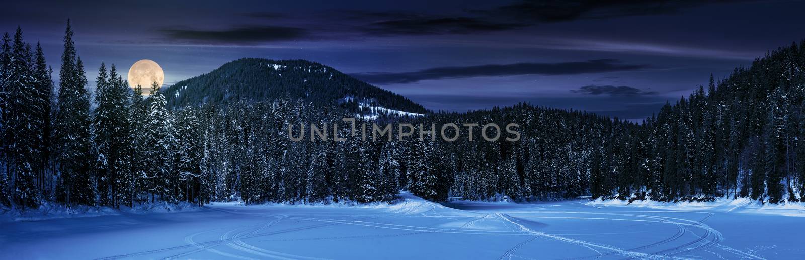snowy meadow in spruce forest at night in full moon light. location lake Synevyr Ukraine, frozen in winter. beautiful nature panoramic landscape in Carpathian mountains