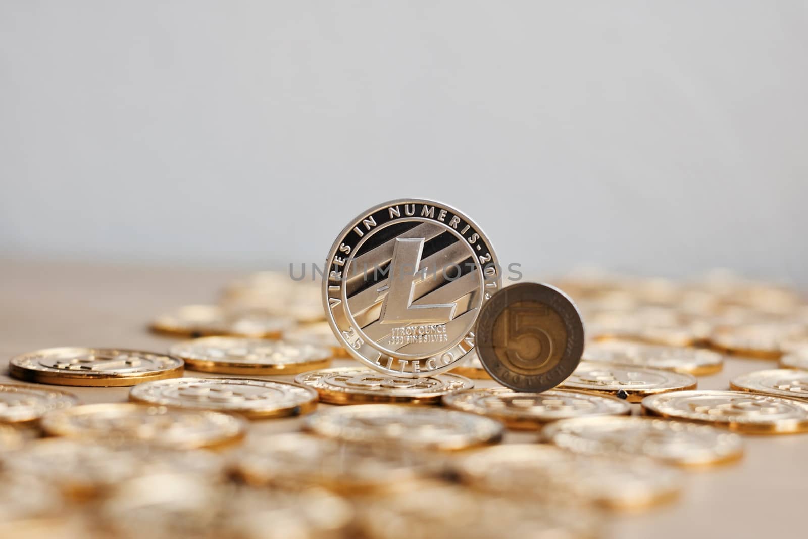 Crypto currency physical metal litecoin coin on the gold money. Digital currency concept.