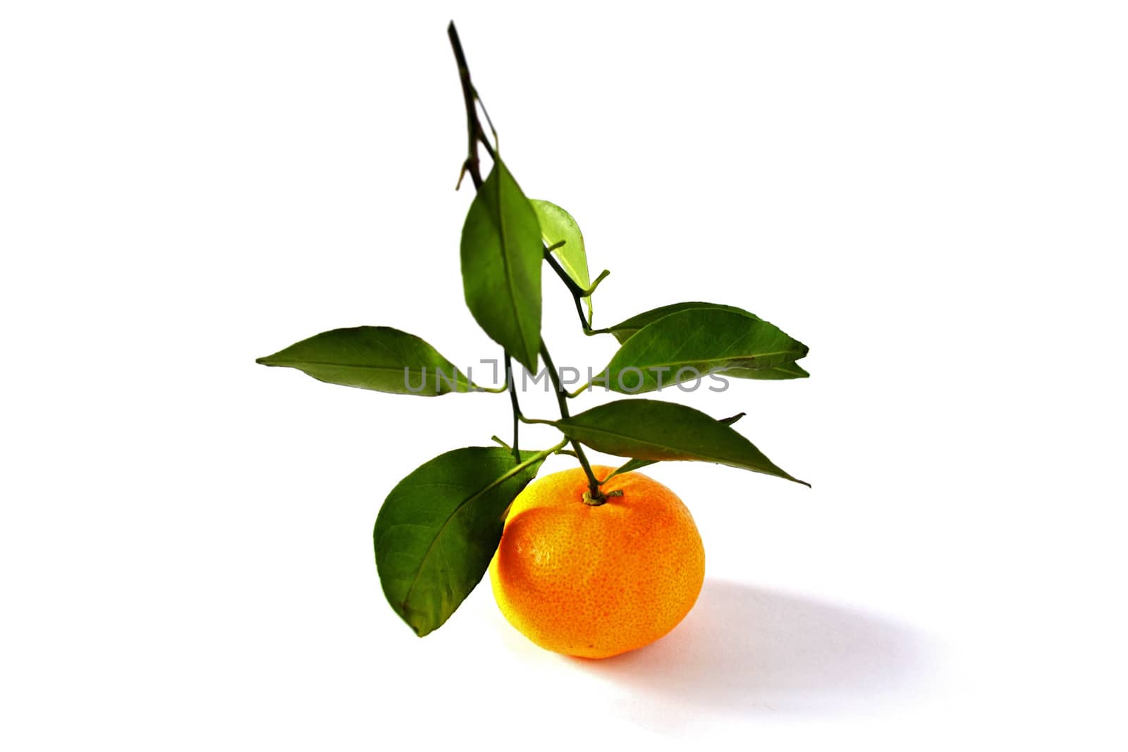 Illuminated Orange Fruit Isolated on White Background by esal78