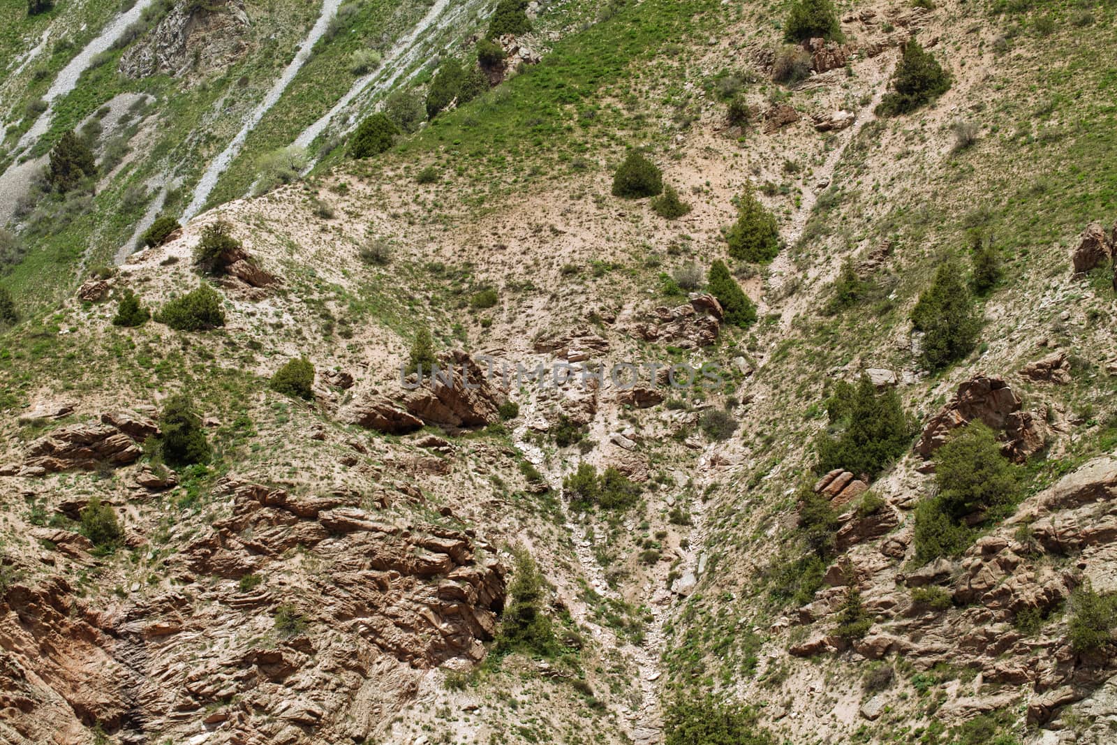 Slope of a mountain in Chimgan, Uzbekistan