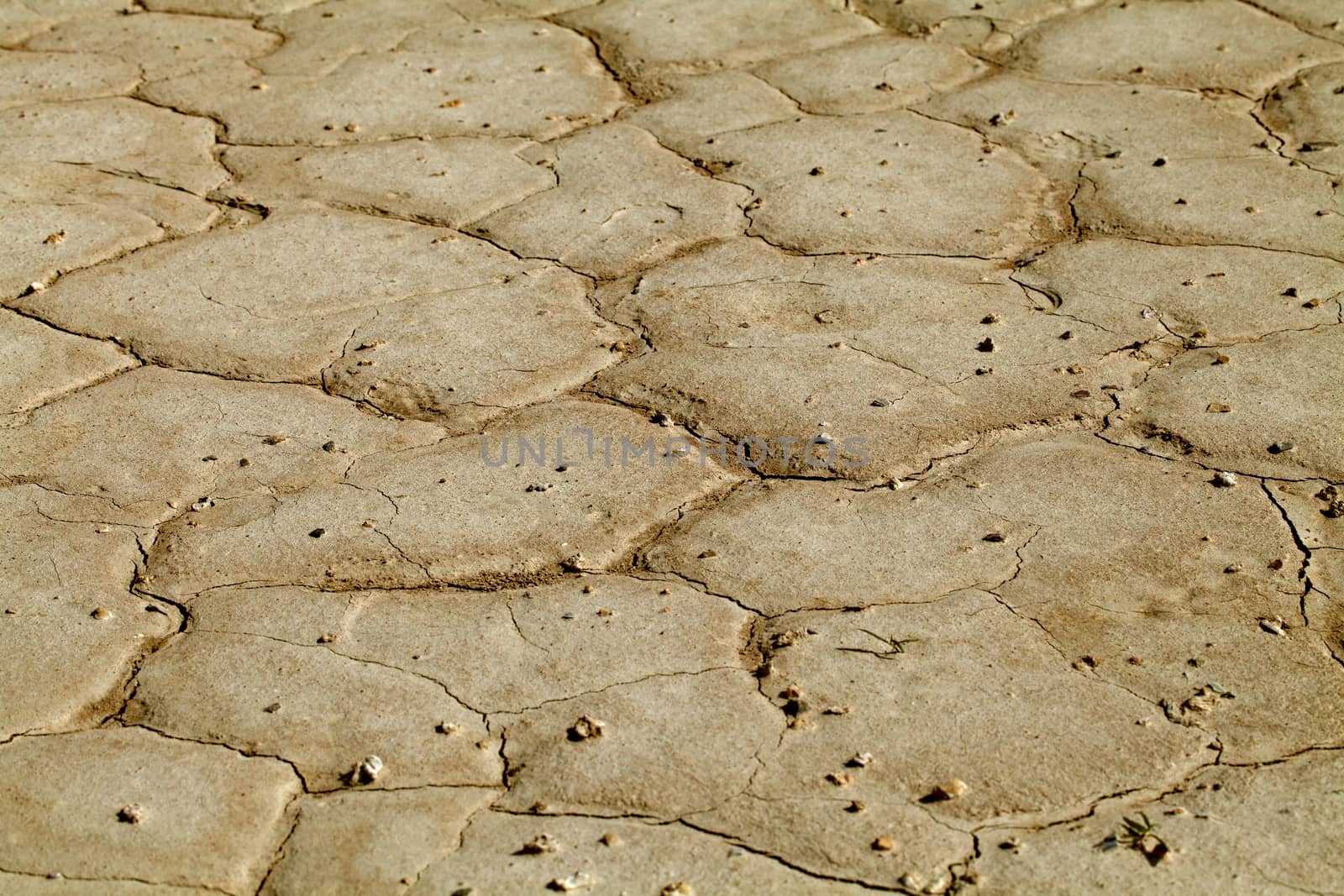 Close-up of earth cracked because of drought