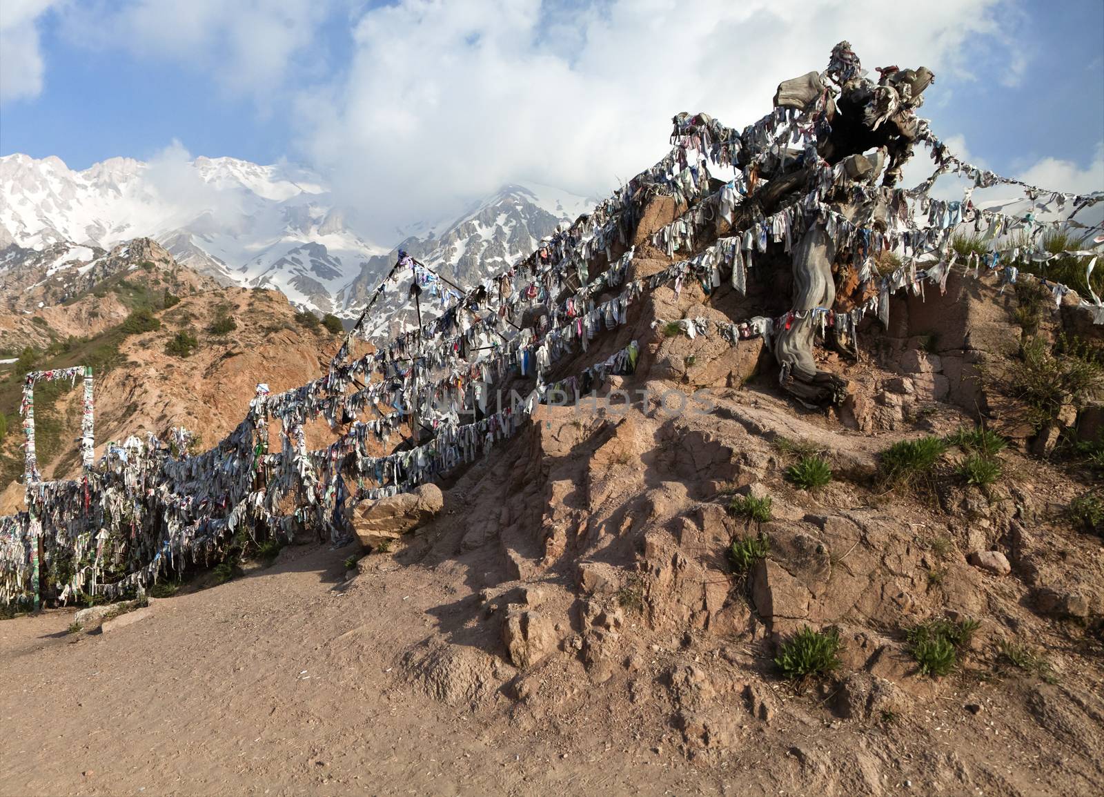 Lots of Buddhist prayer ribbons in Chimgan mountains, Uzbekistan