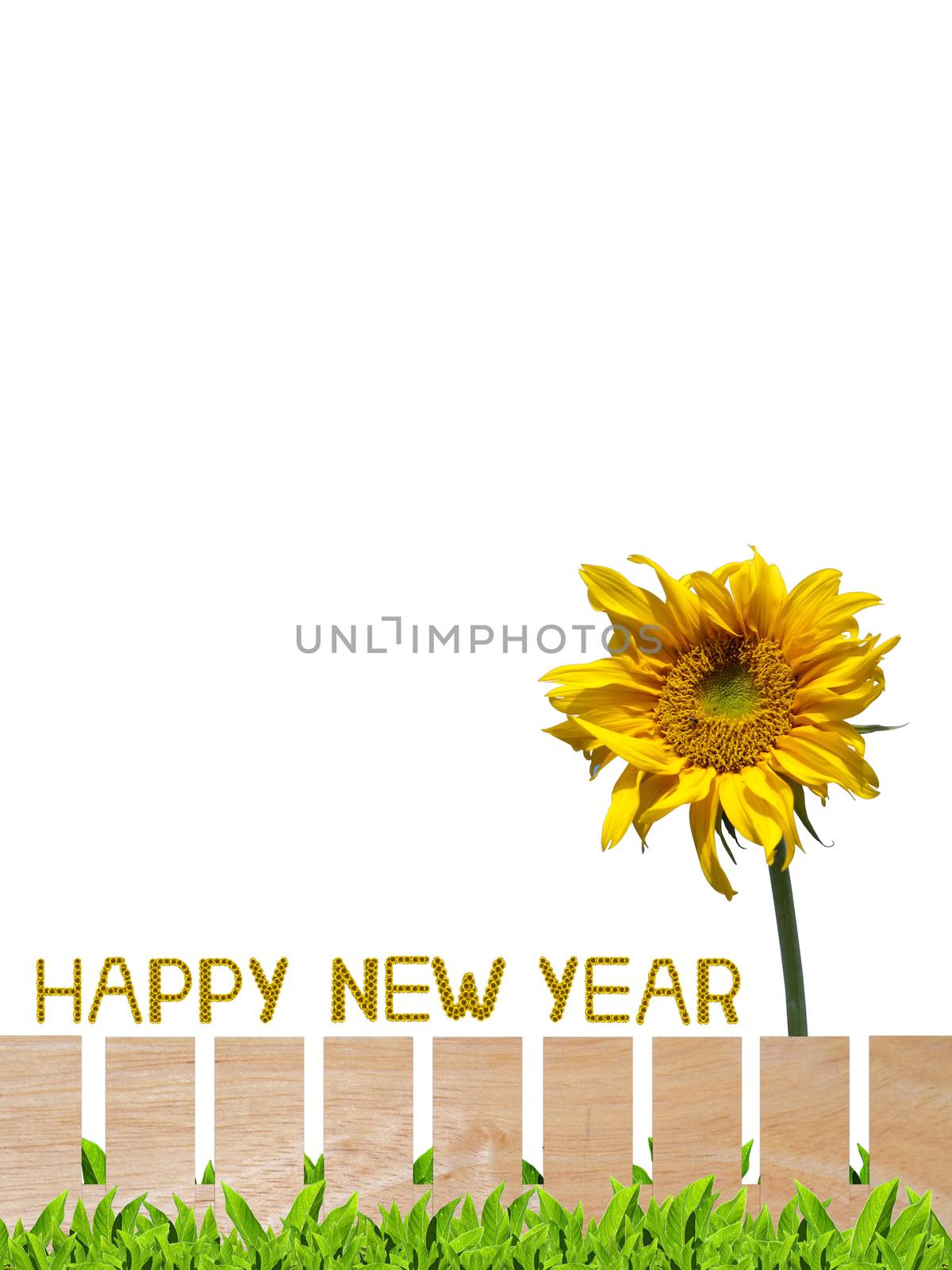 Beautiful garden fence with sunflower letter arrange in the words Happy New Year, clipping path included.
