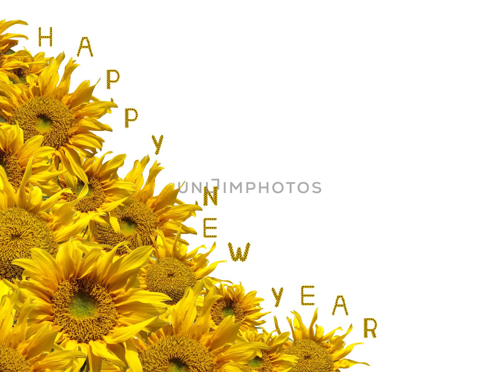 Beautiful frame of colorful sunflowers with sunflower letter arrange in the words Happy New Year, clipping path included.