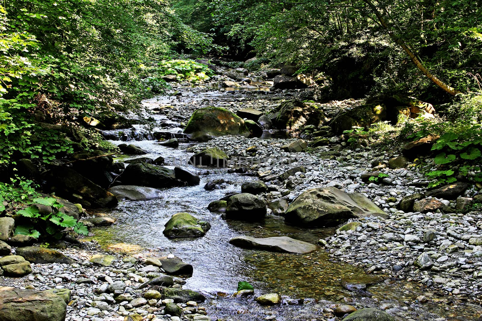 Beautiful place at source of the river in the mountains of Northern Caucasus.