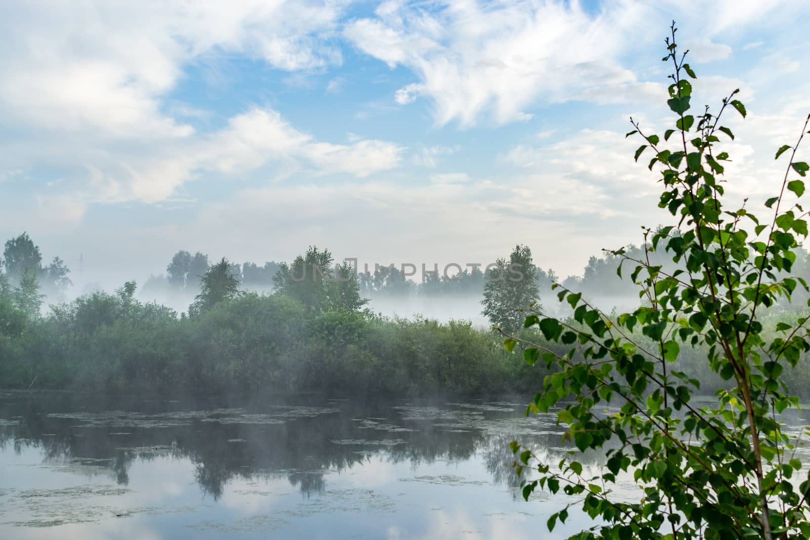 blue sky and misty forest, lake early morning lake