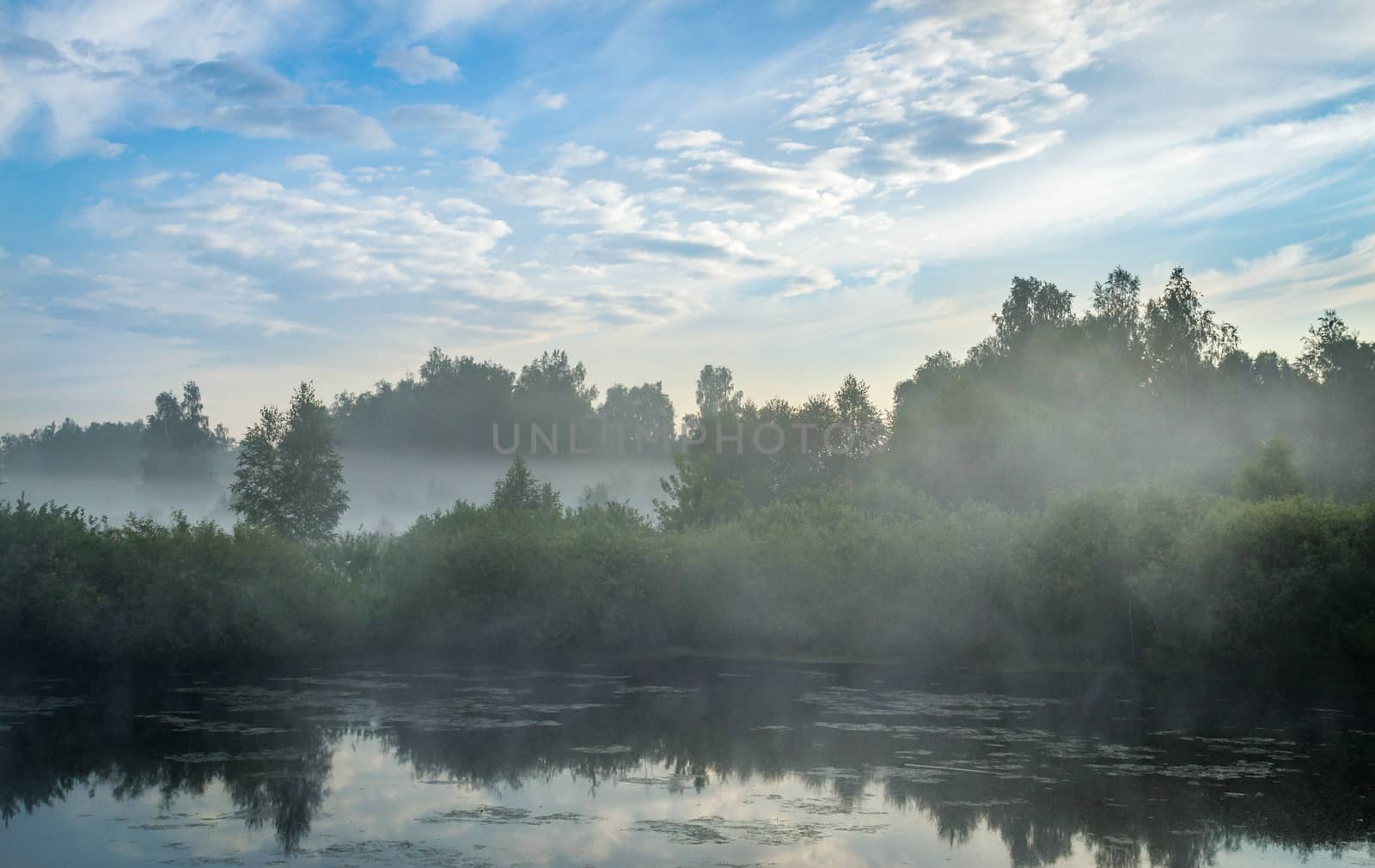 blue sky and misty forest, lake early morning lake