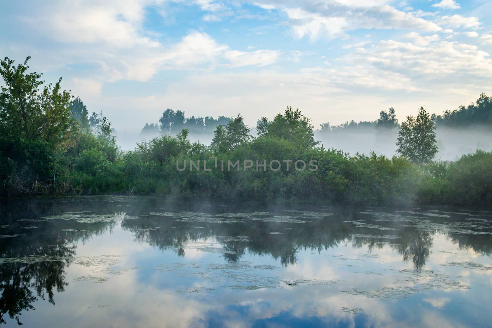 blue sky and misty forest, lake early morning lake