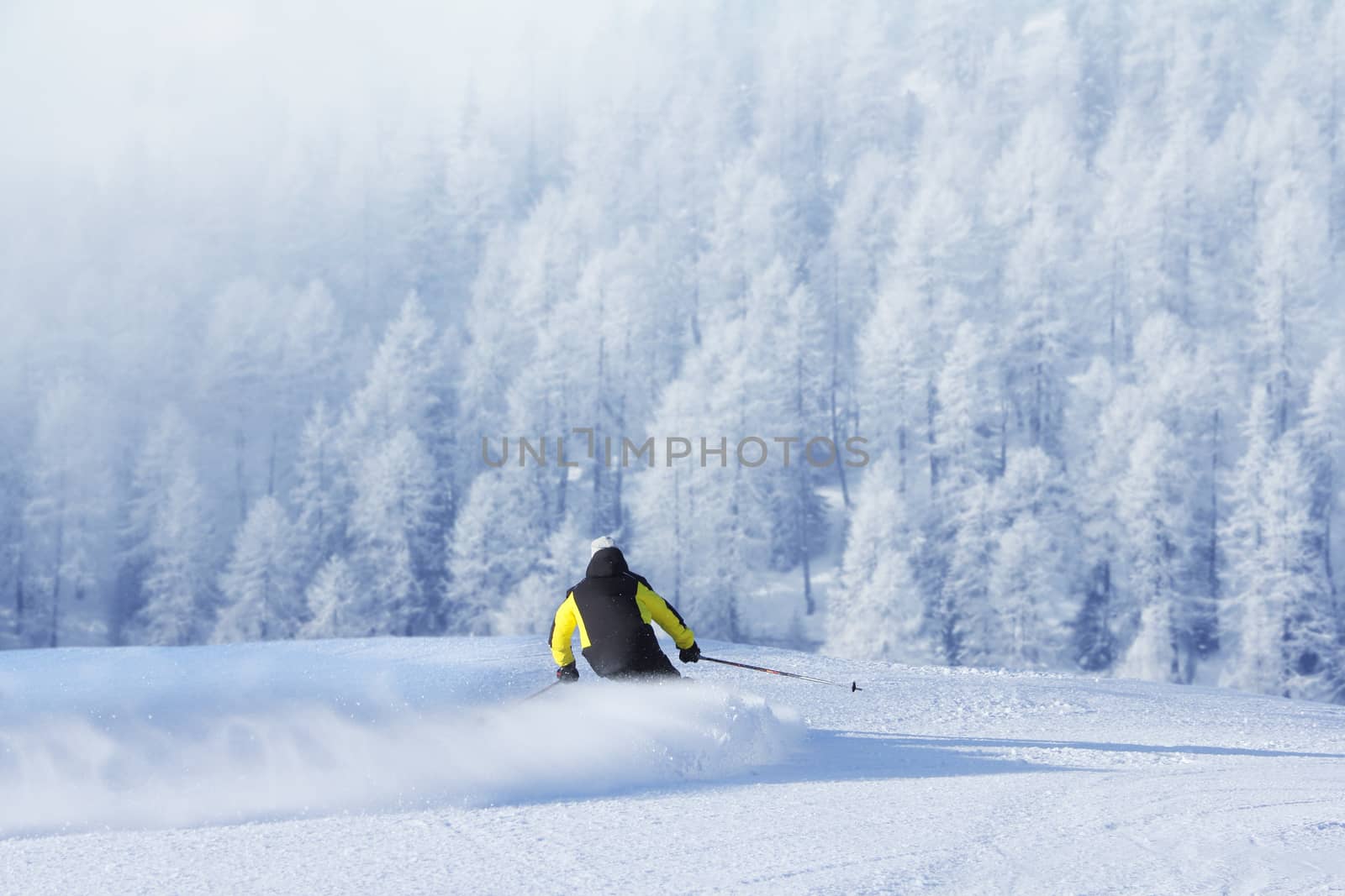 Skier skiing downhill in high mountains, rear view, Solden, Austria