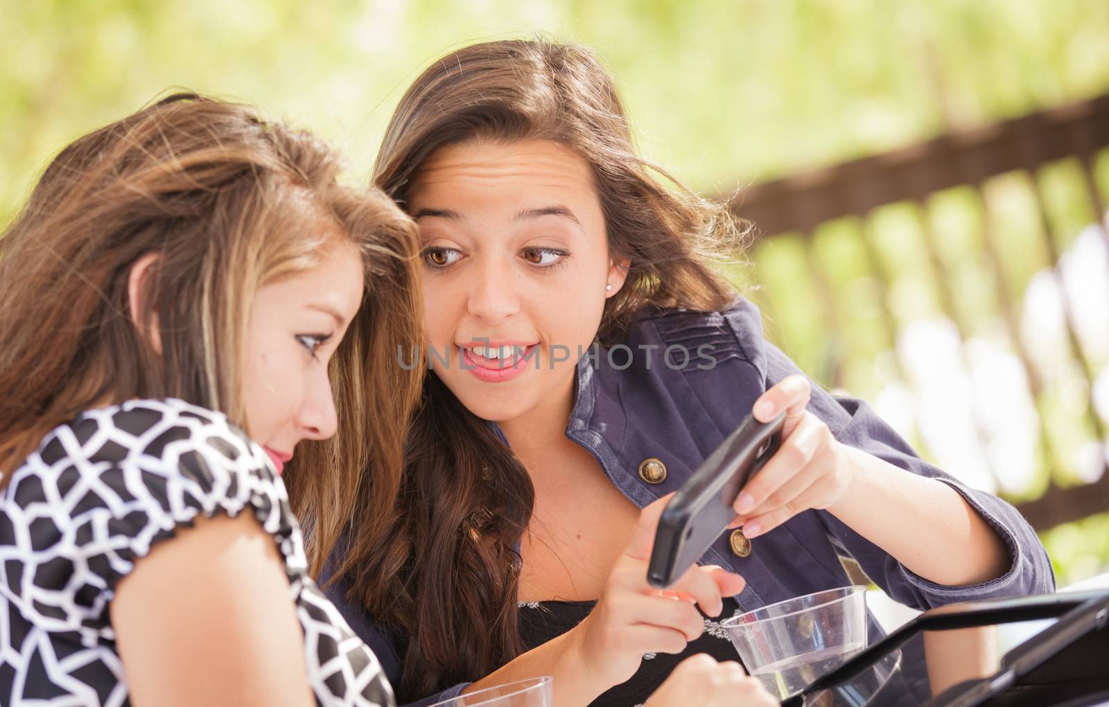 Expressive Young Adult Girlfriends Using Their Computer Electronics Outdoors by Feverpitched