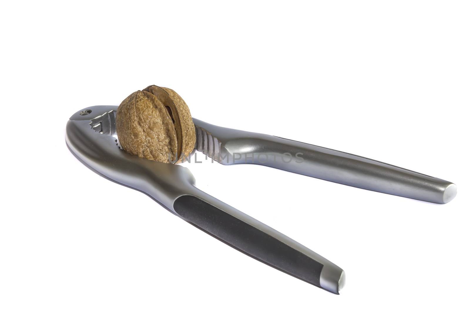 Broken walnut in a nutcracker by EdVal