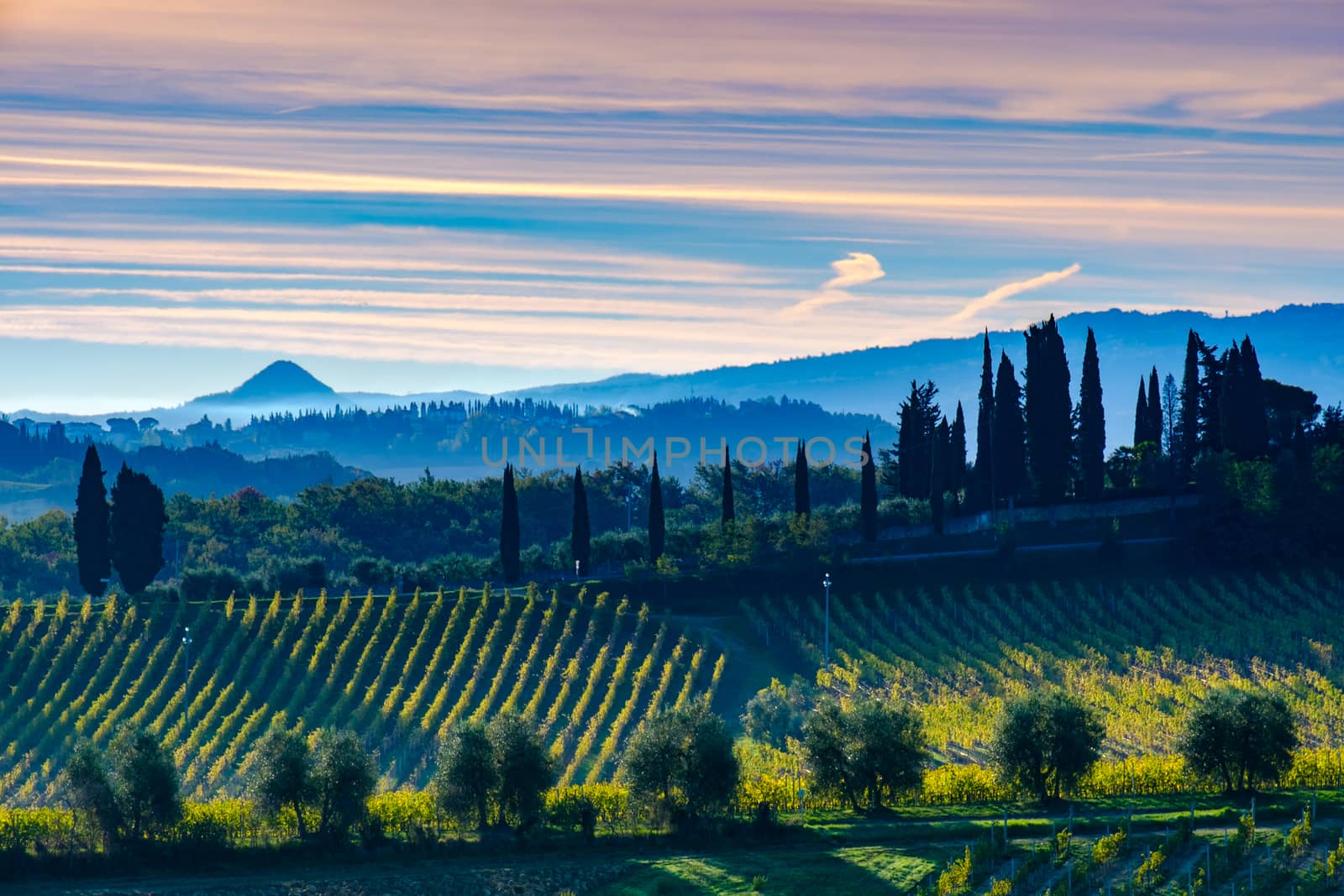 Tuscany landscape with vineyard, hills and mountain