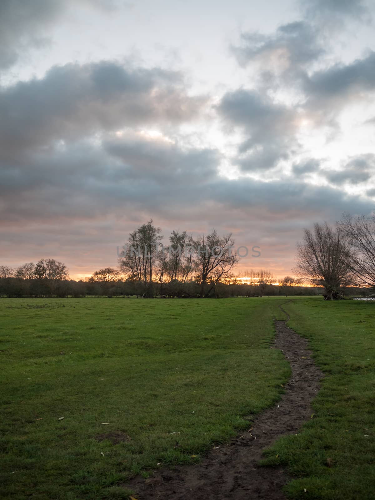 path through open flat plain country trees sky sunset dramatic ; essex; england; ukpath through open flat plain country trees sky sunset dramatic