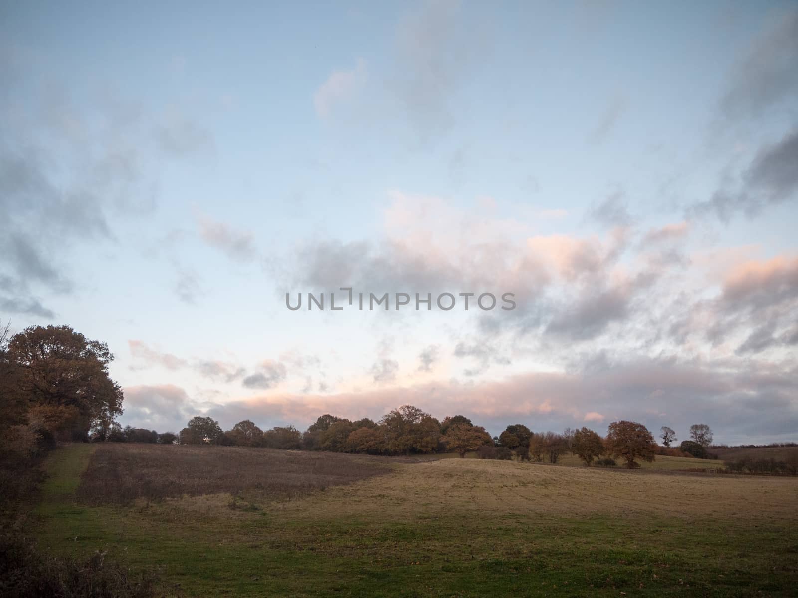 beautiful empty open country farm field space tree line clouds autumn; essex; england; uk
