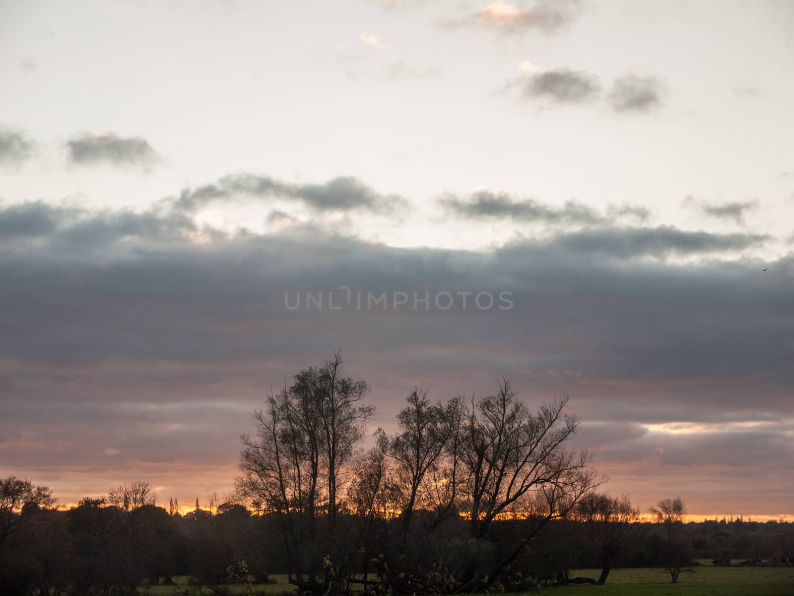 landscape autumn trees sky country sun set empty space by callumrc
