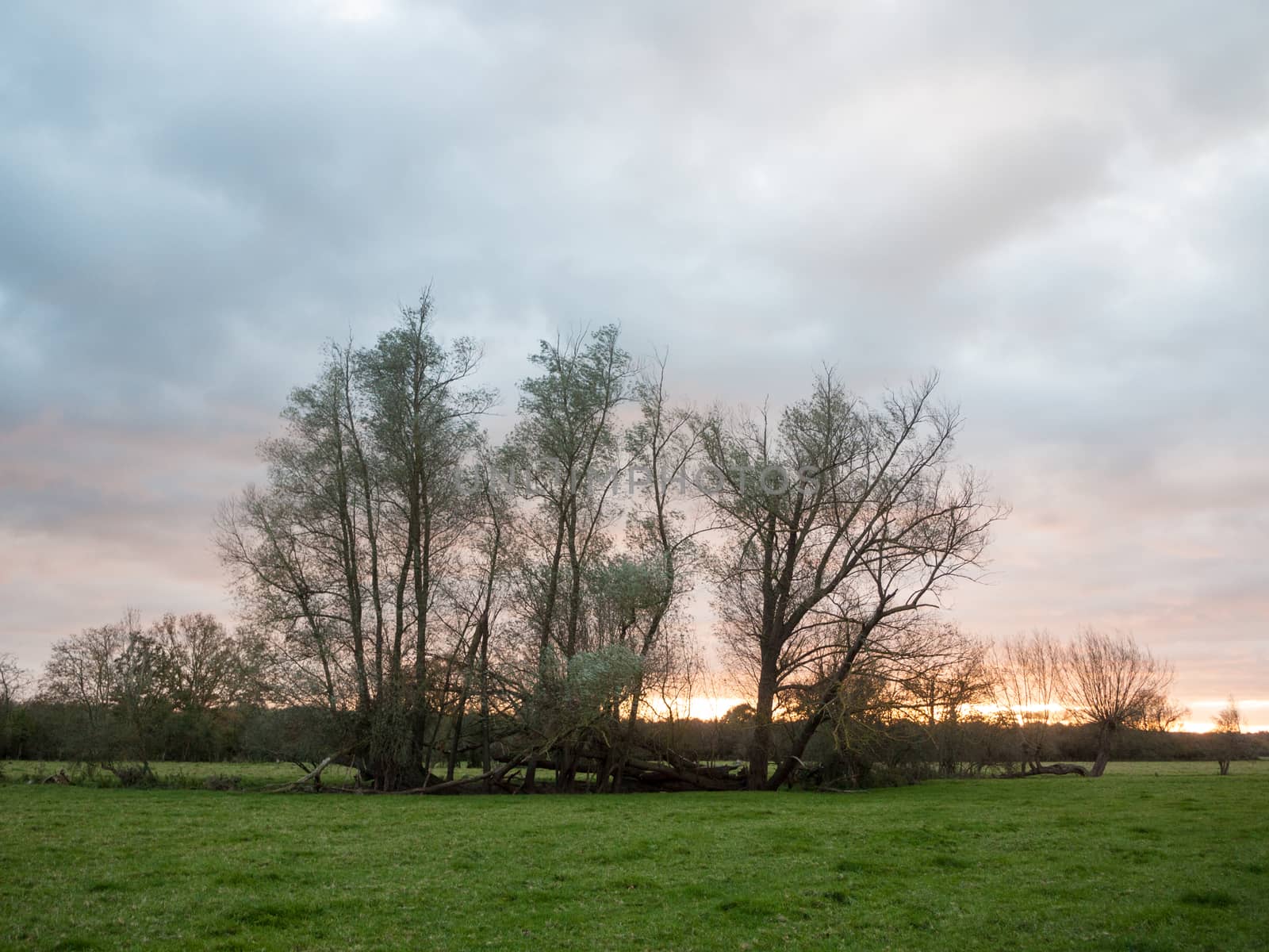 beautiful sunset over empty country landscape dramatic sky trees by callumrc