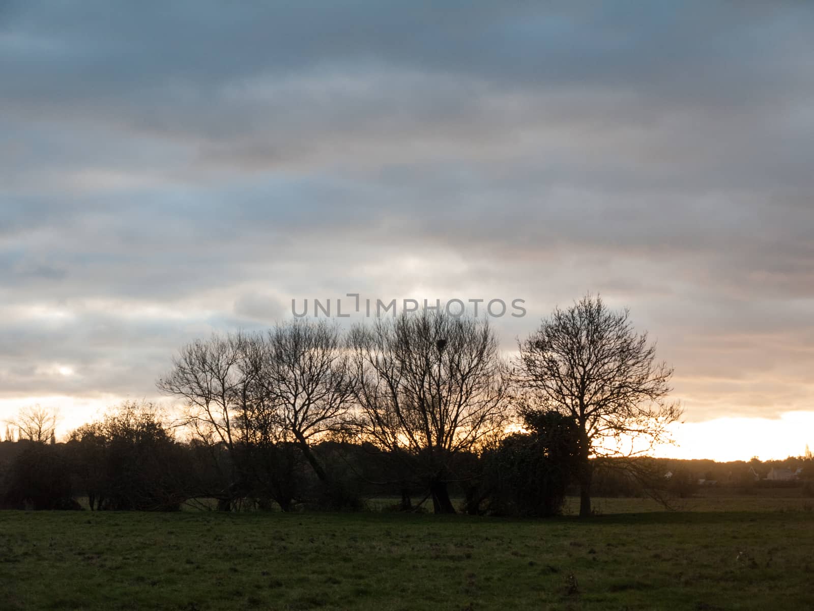 beautiful country sunset landscape trees sky dramatic open space by callumrc