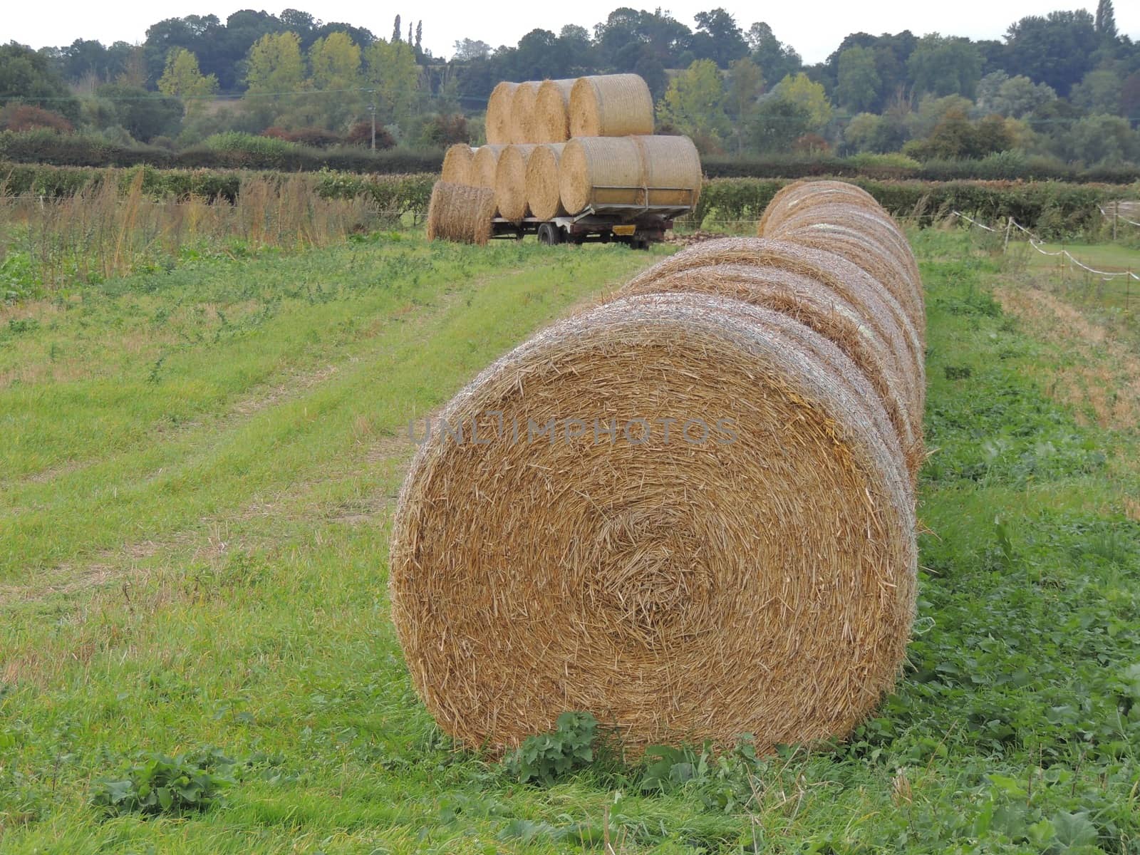 country farming scene of bales of Straw or hay