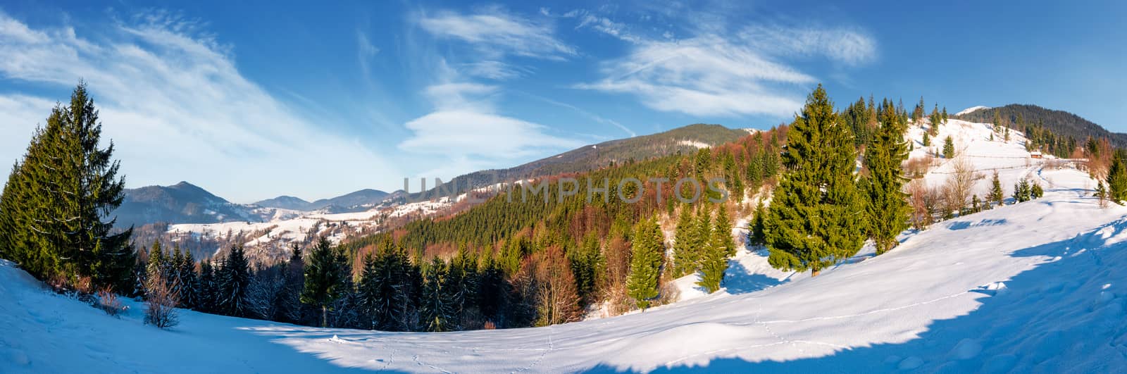 gorgeous panorama of winter countryside  by Pellinni