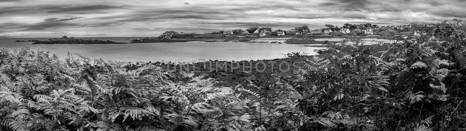 B&W panorama of the beach in Brittany, France