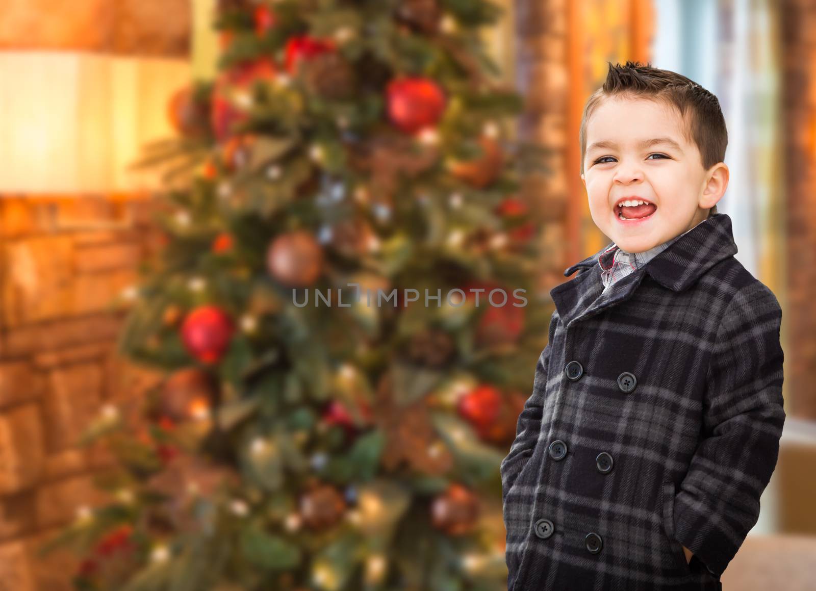 Handsome Mixed Race Caucasian and Hispanic Boy In Front of Christmas Tree. by Feverpitched