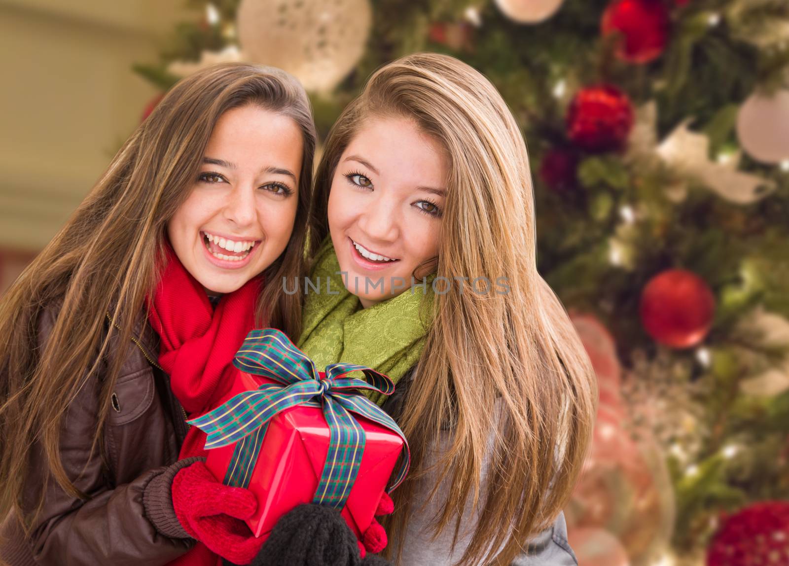 Mixed Race Young Adult Females Holding A Christmas Gift In Front Of Decorated Tree