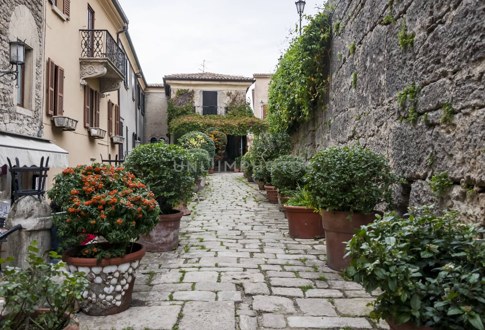 Typical stone street with plants and flowers in San Marino