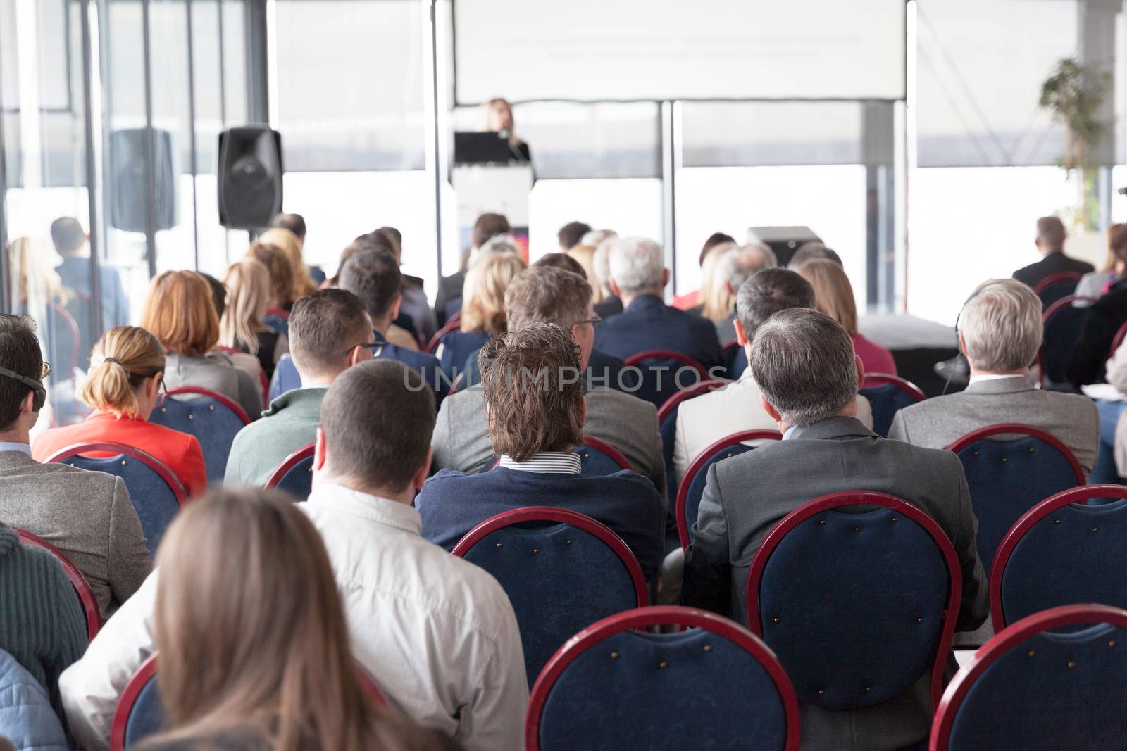 Professional or business conference by wellphoto