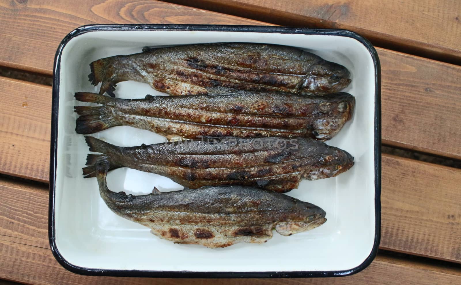 Plate with Freshly grilled trout