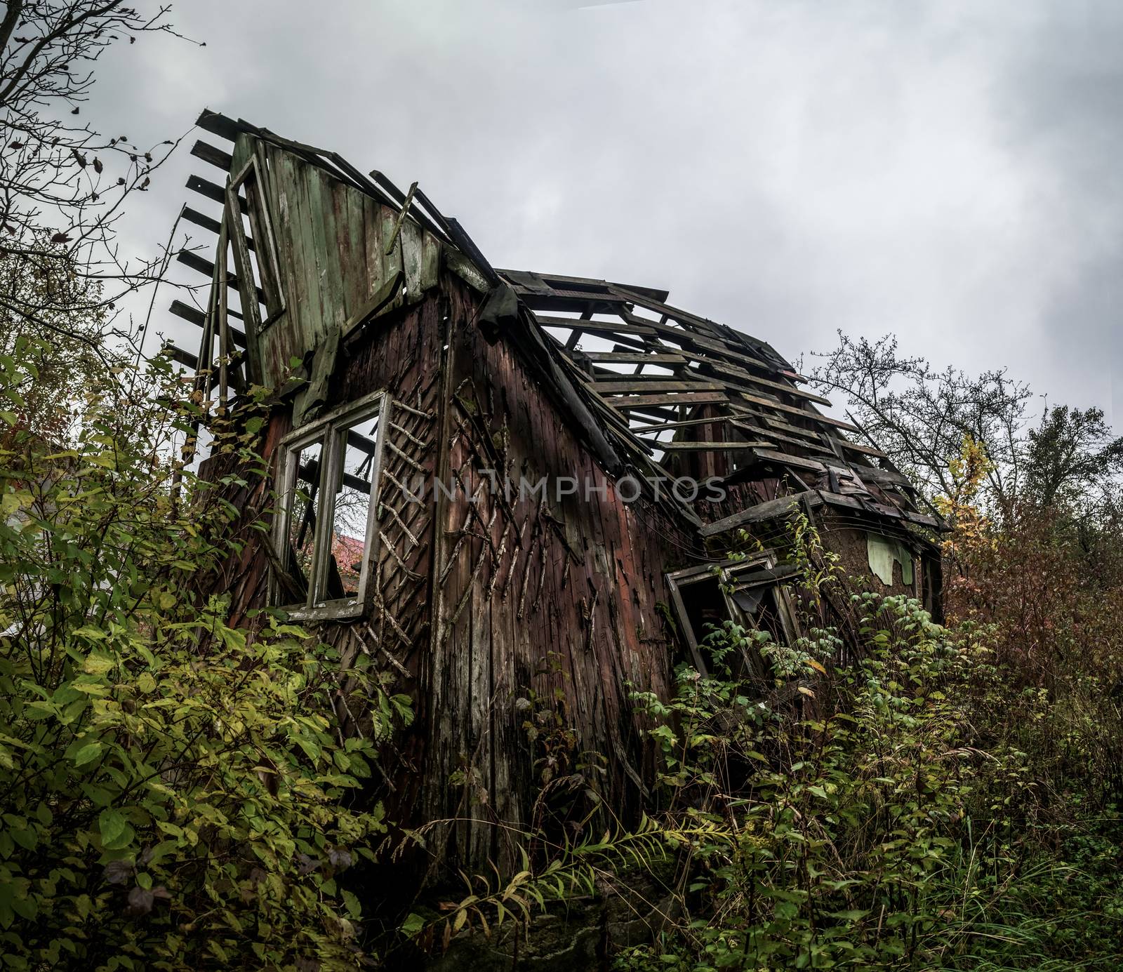 View of the past. The destroyed wooden country house in Ukraine. Brushwood