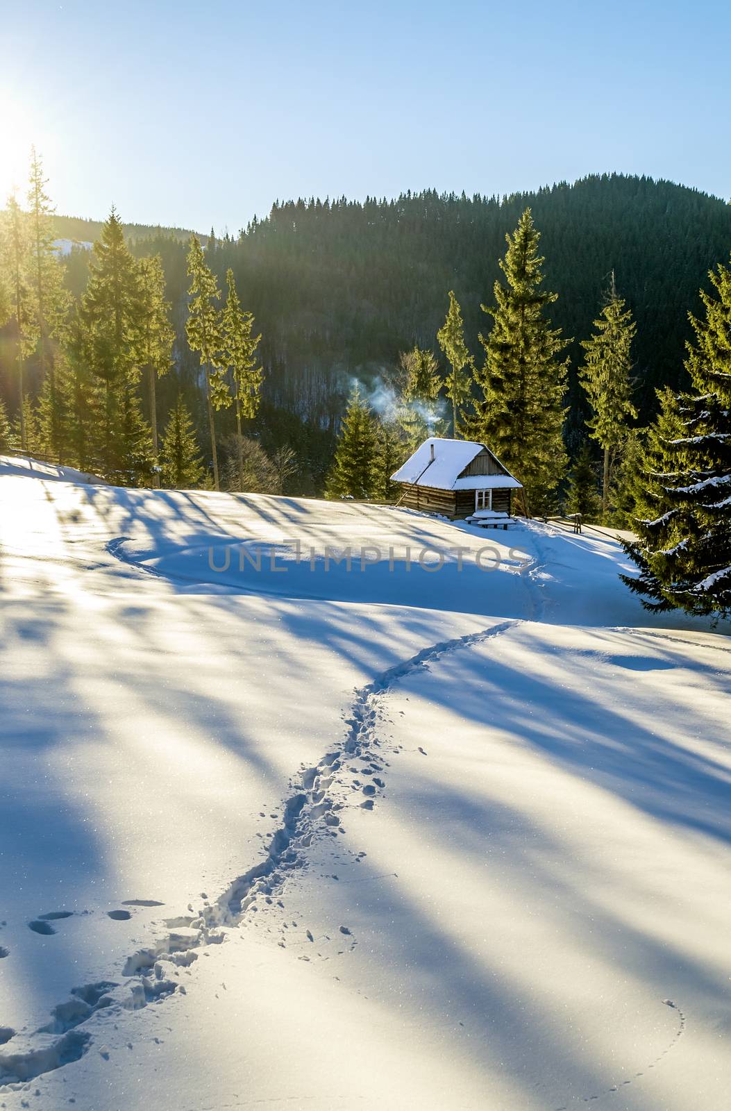 Path in snow that leads to a wooden house in the mountains. The fir trees are covered with morning rays. Smoke coming out of the chimney. Winter in Ukrainian Carpathian Mountains.