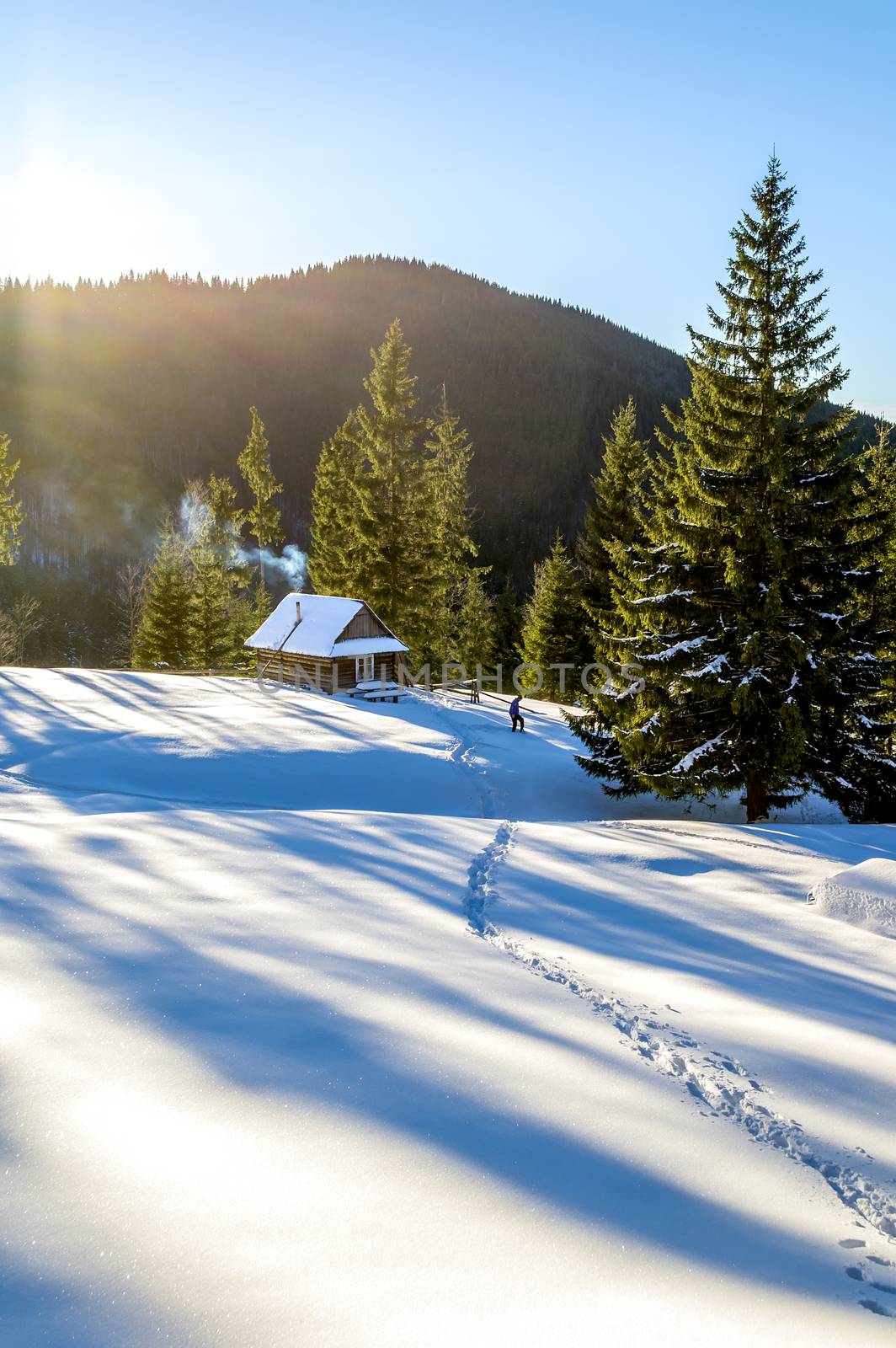 Snow trail that leads to a wooden cottage in the mountains. The spruce trees are covered with morning rays. Smoke coming out of the fireplace of the house. Winter in Ukrainian Carpathian Mountains.