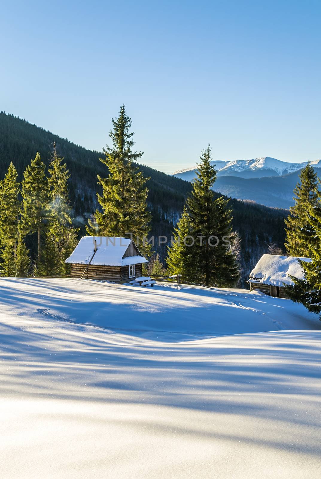 Wooden cottage in the mountains. The fir trees are covered with morning rays. Shadows from the trees on the snow. Winter in Ukrainian Carpathian Mountains.