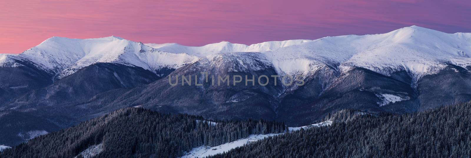 Nice panorama. Magic hour in the mountains at winter. Pink sky. Snowy ridge.
