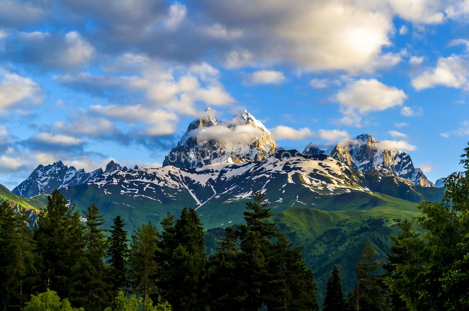 High snowy peaks on a background of white clouds and blue sky. Morning sun shines on the rock wall. Green hills and dense forests on the slopes. Mountain Ushba. Summer. Georgia.