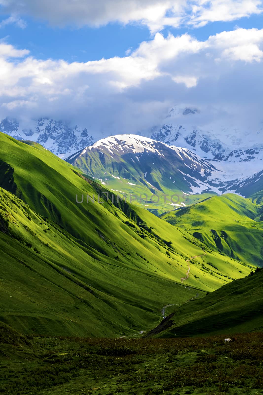 Green fields and hills leading to snow-covered mountains. White clouds are visible behind the lighted mountain top. Summer in Caucasian Georgia. Vertical orientation photo.
