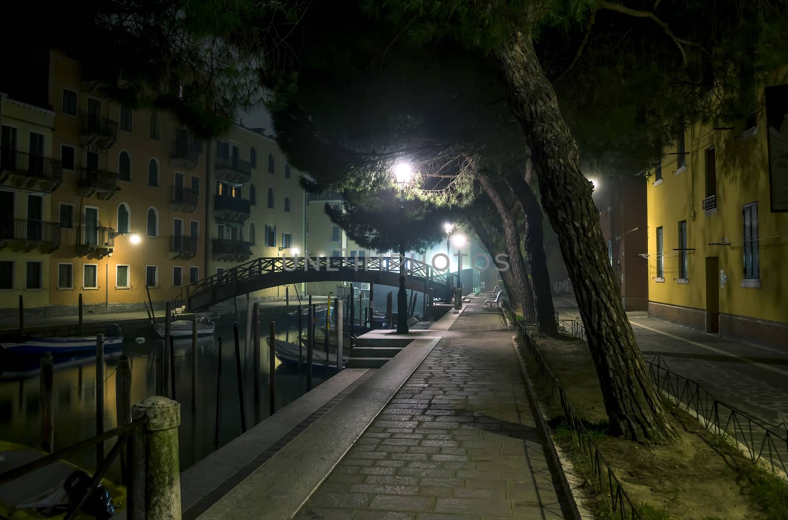 Night in Venice by oleksandrmazur