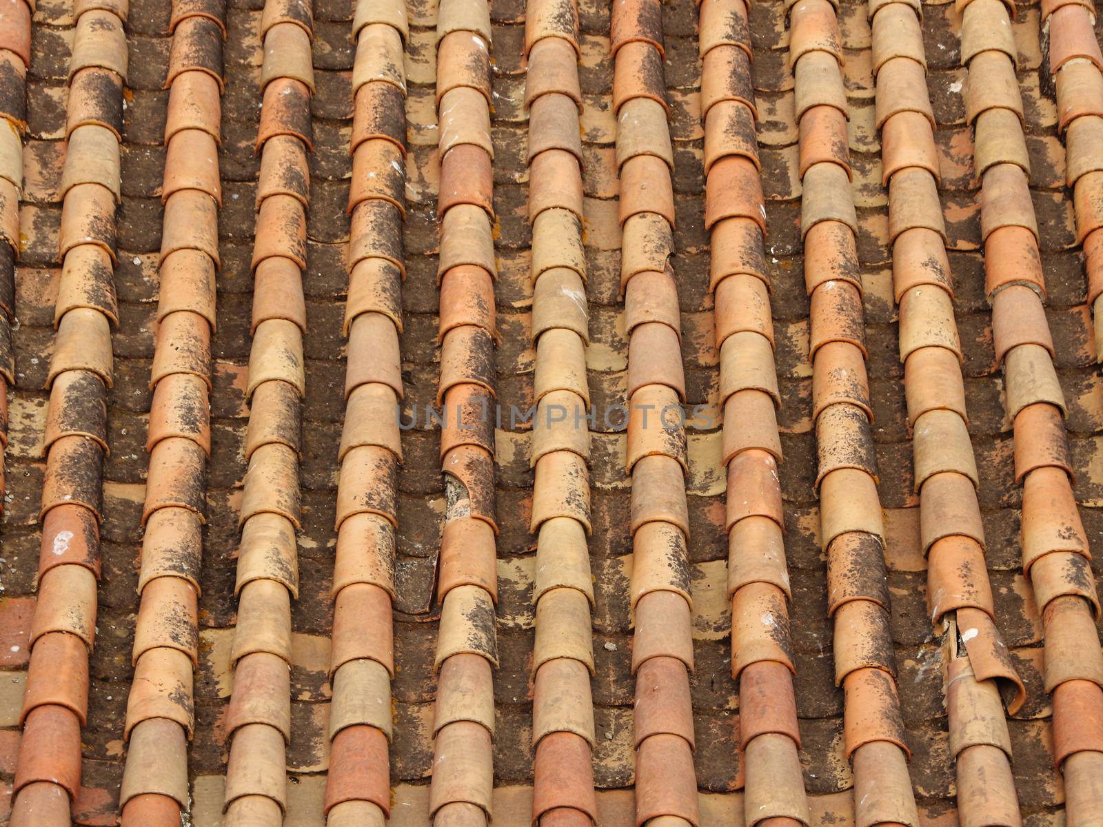 Worn Old Tile Brick Roof Southern Europe in Warm Colors