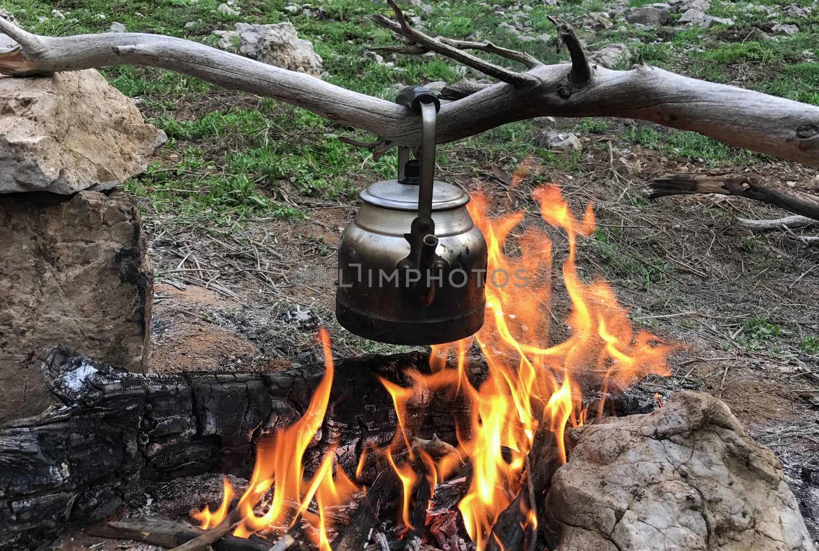 wood-fired brew tea