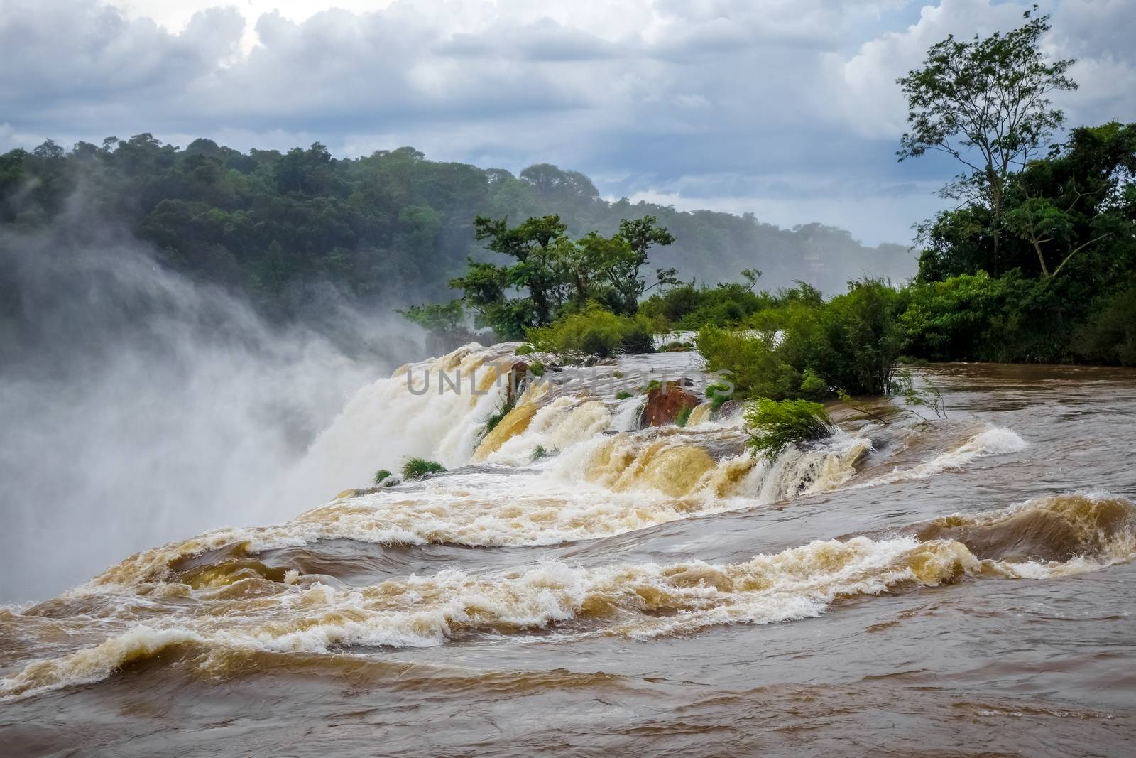 iguazu falls national park. tropical waterfalls and rainforest landscape