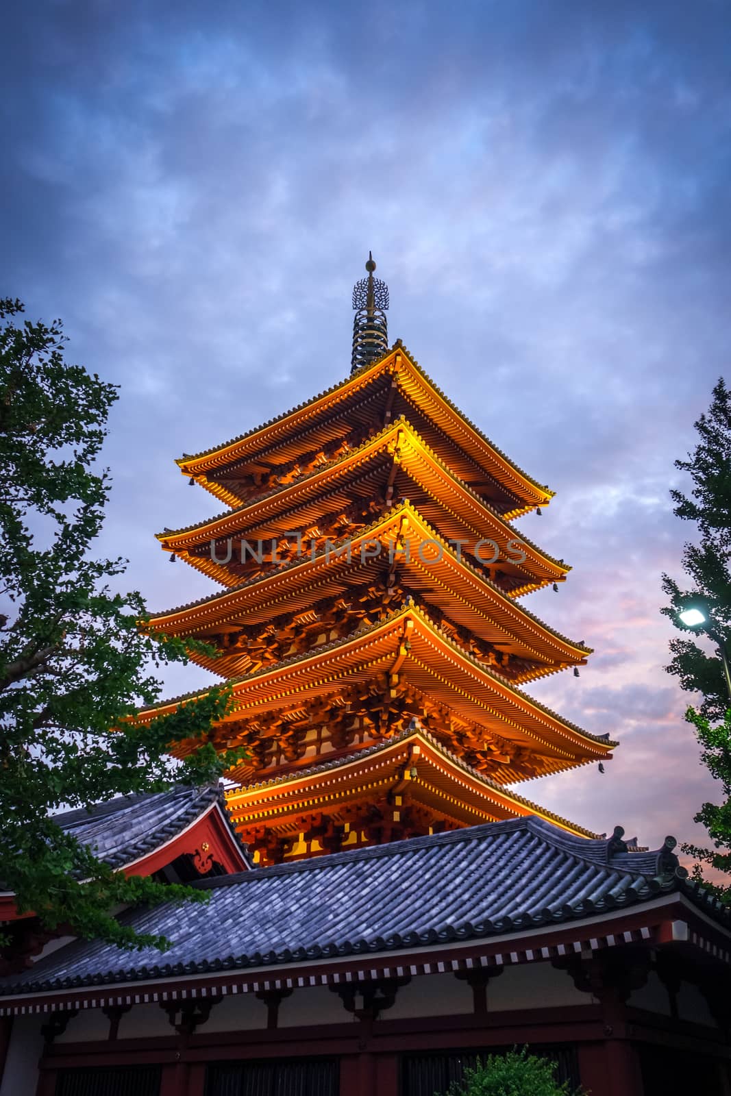 Pagoda at sunset in Senso-ji Kannon temple, Tokyo, Japan